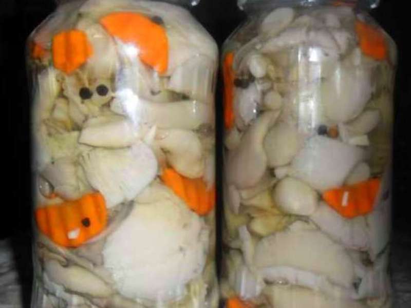 ciuperci in otet)